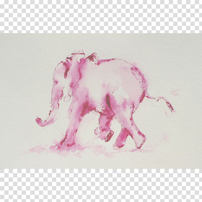 Indian elephant African elephant Watercolor painting Drawing Pink M, India transparent background PNG clipart