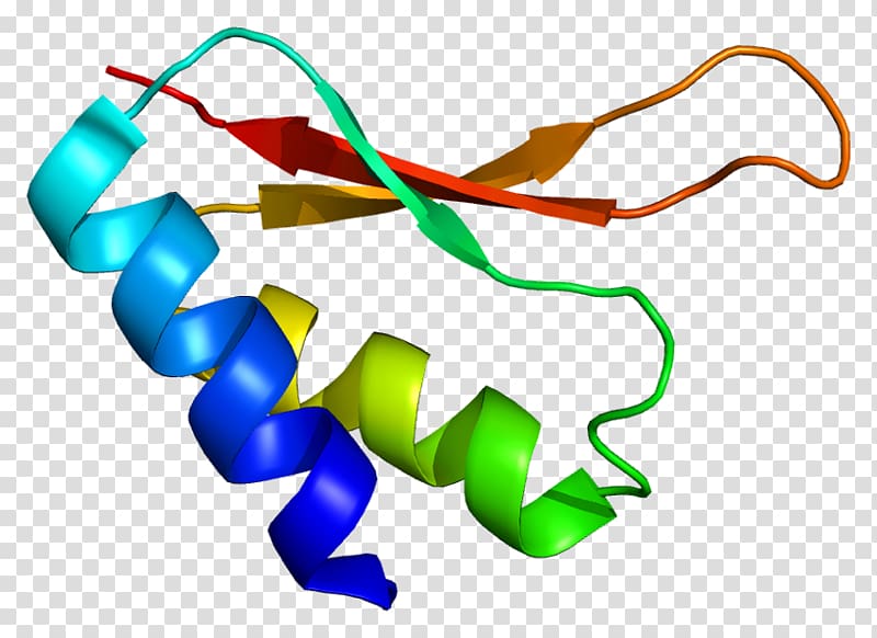 IGHMBP2 Gene silencing Protein Mutation, others transparent background PNG clipart