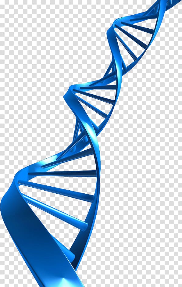 The Double Helix: A Personal Account of the Discovery of the Structure of DNA Nucleic acid double helix , book transparent background PNG clipart