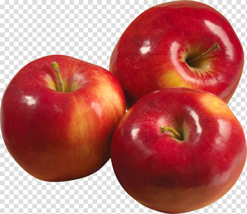 Apple Fruit Food energy Cultivar, apple fruit transparent background PNG clipart