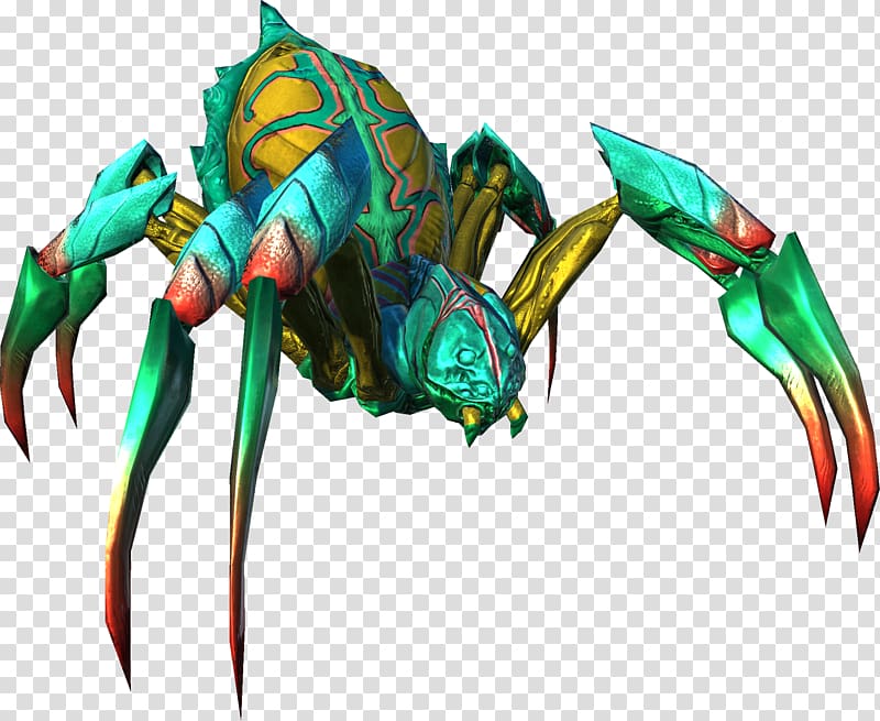 Neverwinter Dungeons & Dragons Insect Spider, dungeons and dragons transparent background PNG clipart