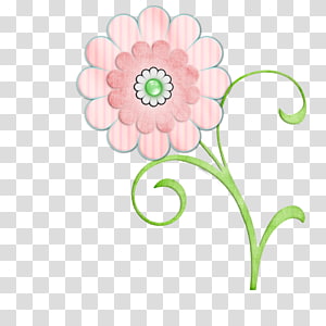Floral design Cut flowers Petal, flower transparent background PNG clipart thumbnail