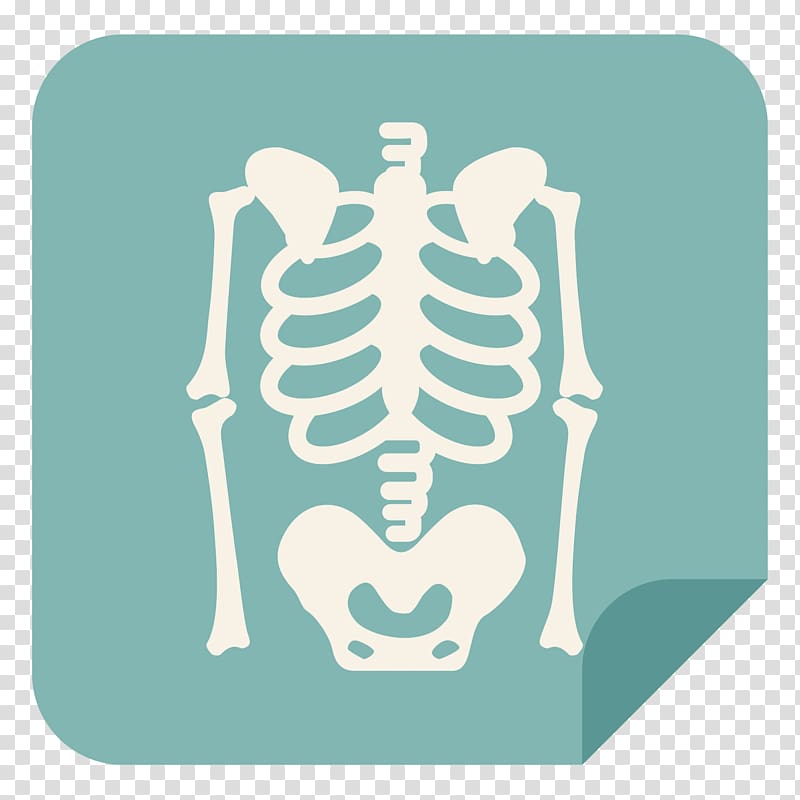 Human skeleton Computer Icons Rib cage Skull, skull transparent background PNG clipart
