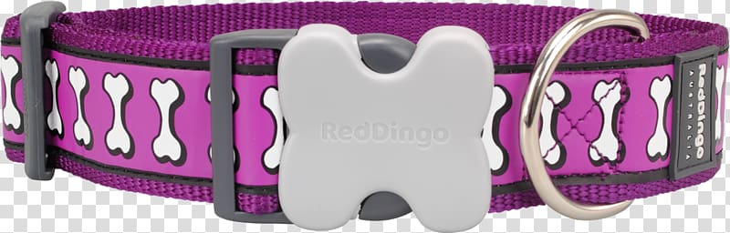 Dog collar D-ring Pet, red collar dog transparent background PNG clipart