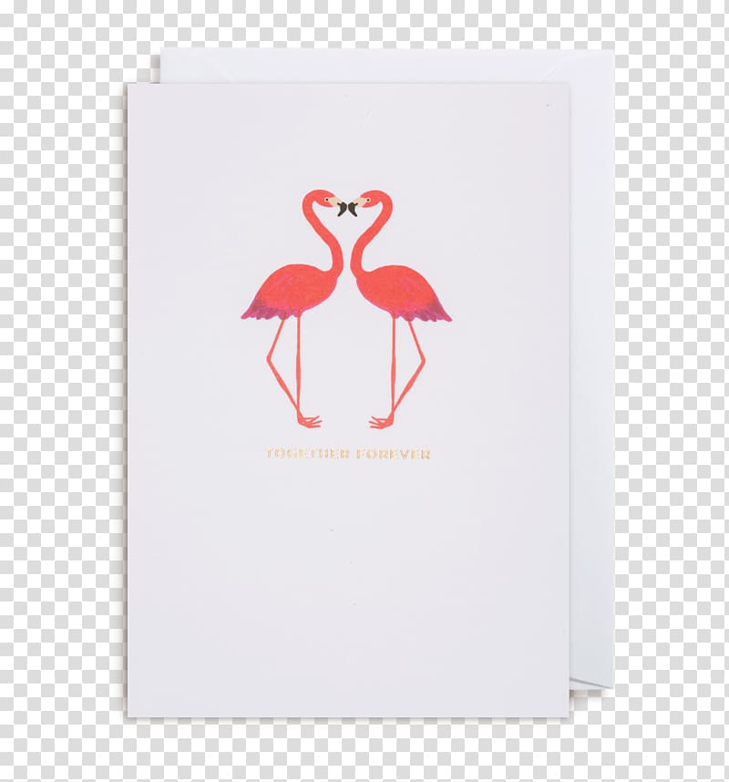 Vertebrate Water bird Beak Flamingo, creative card vouchers transparent background PNG clipart