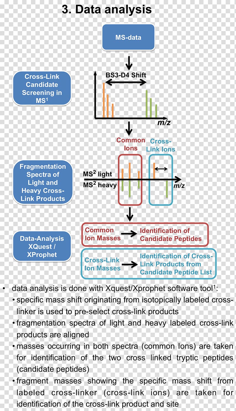 Mass spectrometry Cross-link Immunoprecipitation Zentrum fuer Molekulare Biologie, University of Heidelberg Affinity chromatography, others transparent background PNG clipart