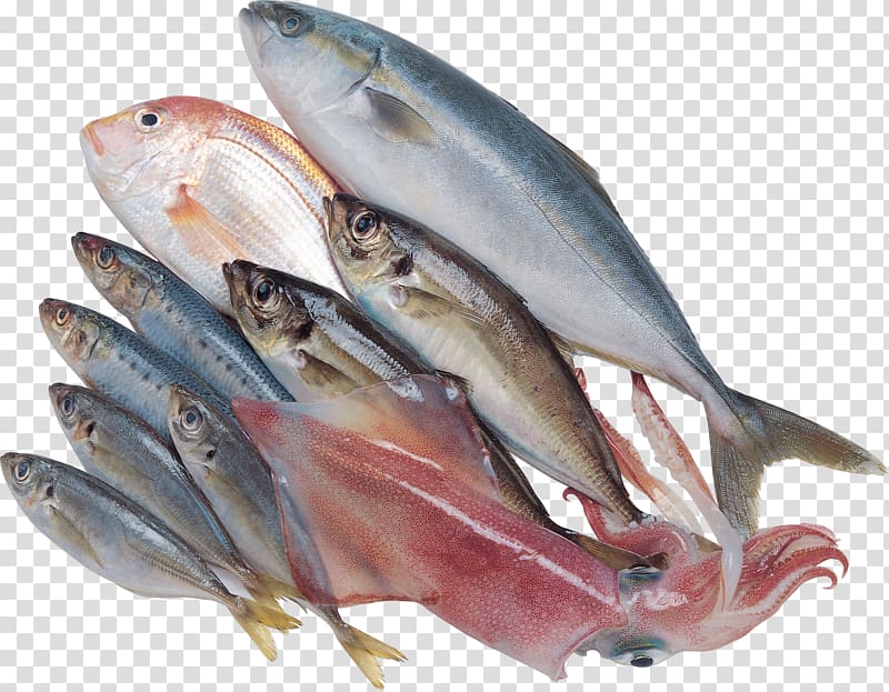 Kipper Sardine Fish products Mackerel Oily fish, Fish transparent ...