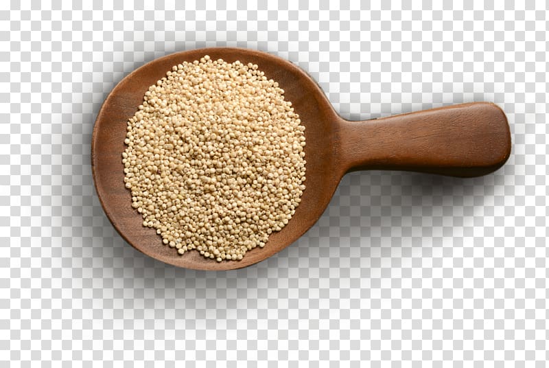 Cereal Millet Grain Ingredient Broom-corn, milo transparent background PNG clipart