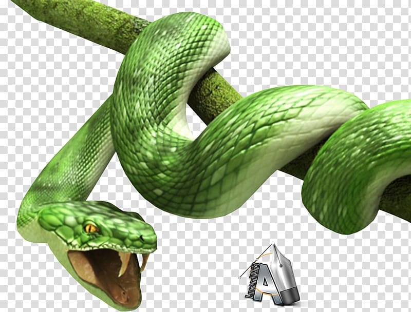 Snake , 3d transparent background PNG clipart