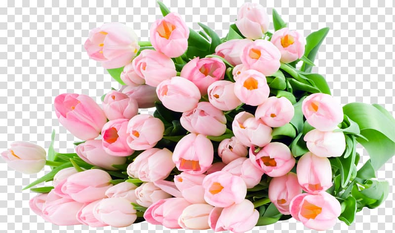 Flower bouquet Tulip Android Cakes Online, 8 march transparent background PNG clipart
