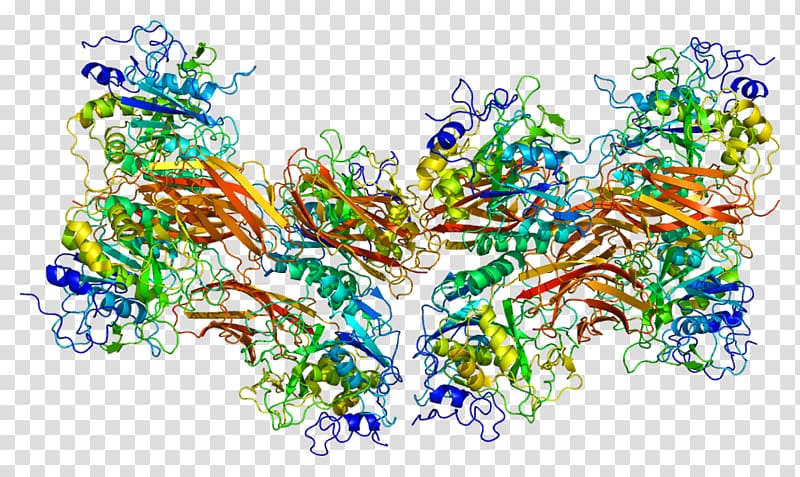 Introduction to protein structure Furin Enzyme Subtilisin, others transparent background PNG clipart