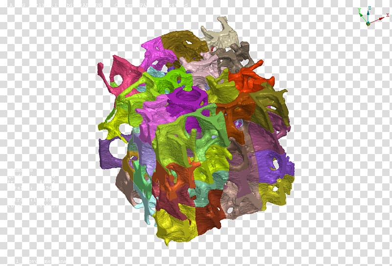 Cancellous bone Simulation software Flower, Scylla Io transparent background PNG clipart
