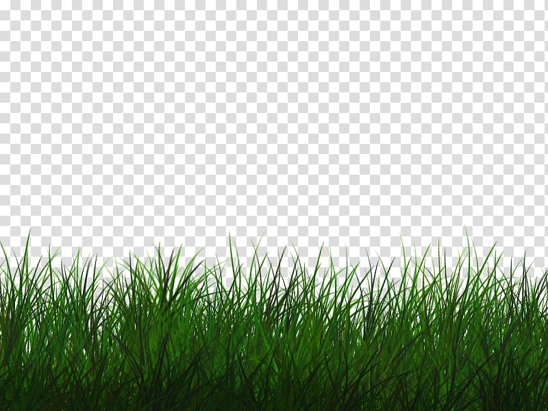 Lawn Desktop , others transparent background PNG clipart