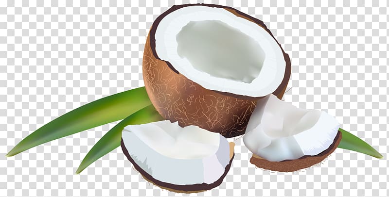 coconut fruit illustration, Coconut with Leaves transparent background PNG clipart