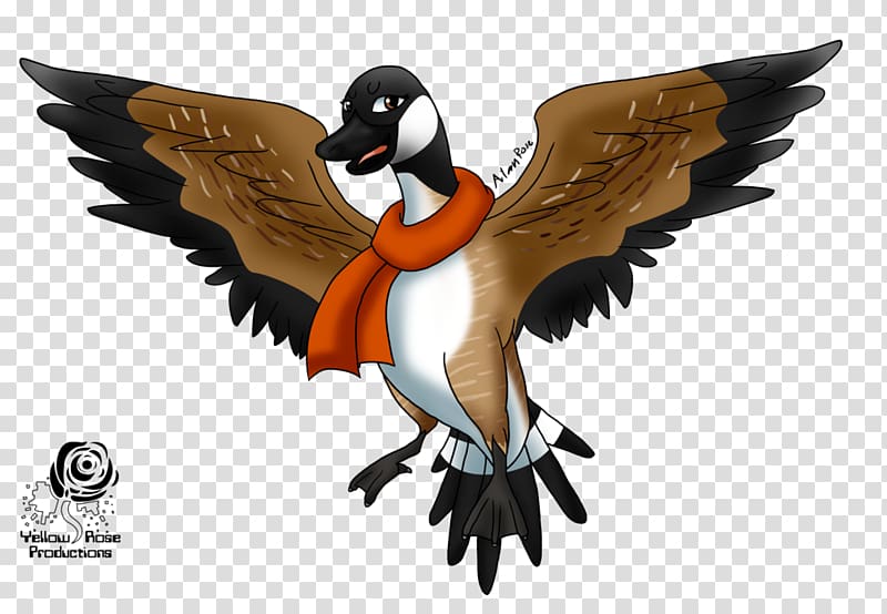 Duck Canada Goose Canada Goose Bird, flock transparent background PNG clipart