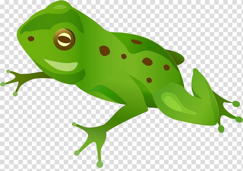 Letter , Green frog transparent background PNG clipart