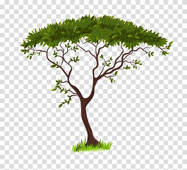 Savanna Silhouette , Green tree transparent background PNG clipart