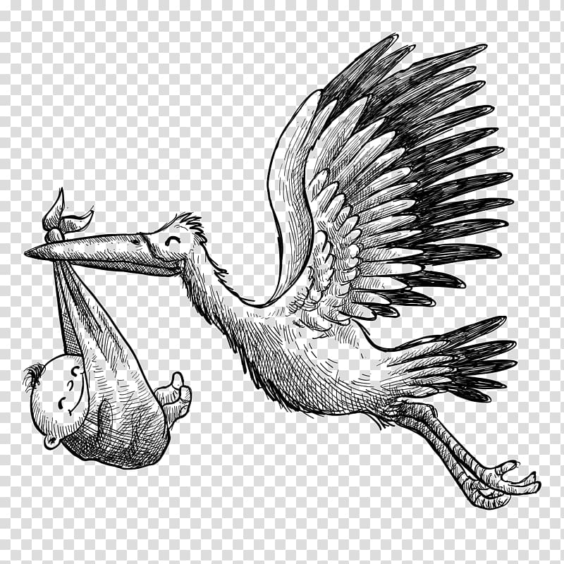 bird carrying child illustration, White stork Euclidean , Hand-painted baby stork delivery material transparent background PNG clipart