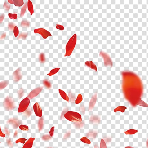 Petal, Falling Petals transparent background PNG clipart