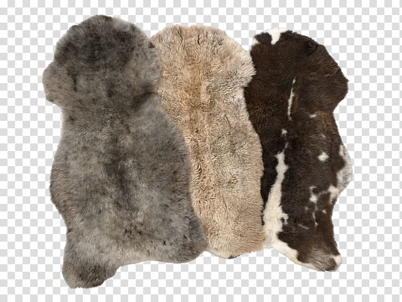 Fur Snout, sheepskin transparent background PNG clipart