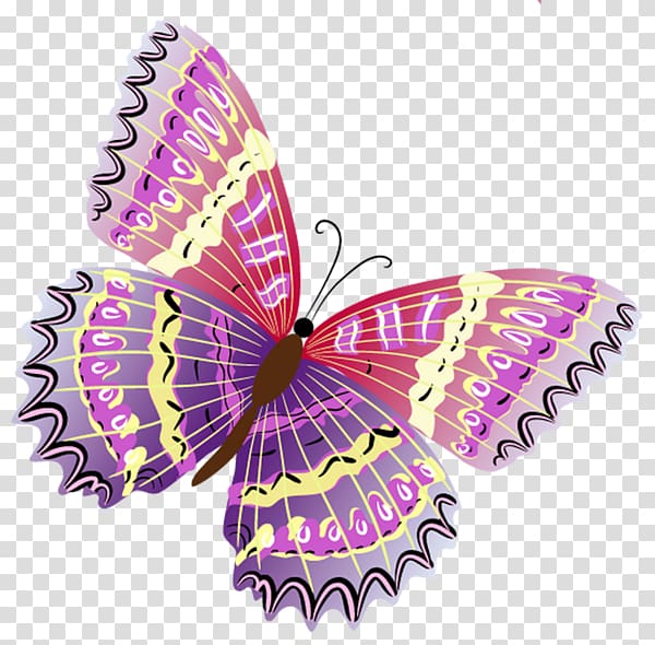 Butterfly Color, Watercolor Butterfly transparent background PNG clipart