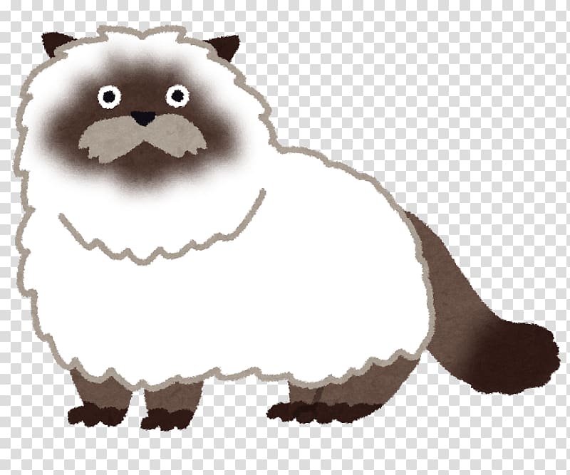 Himalayan cat Study skills Tales of the Rays Learning Felidae, Himalayan cat transparent background PNG clipart