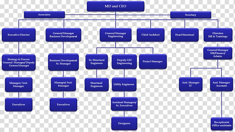 Organizational chart Business development Organizational structure, organization chart transparent background PNG clipart