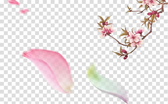 Petal , Peach blossom transparent background PNG clipart