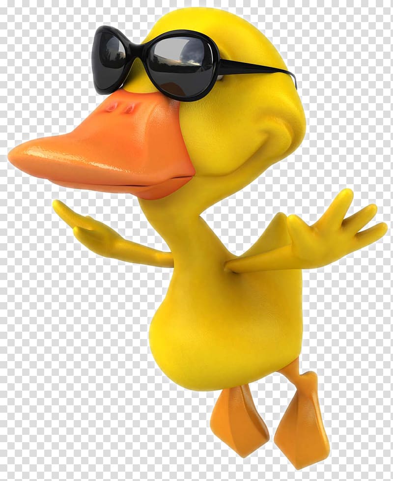 Duck Mallard Cartoon , Cartoon duck transparent background PNG clipart