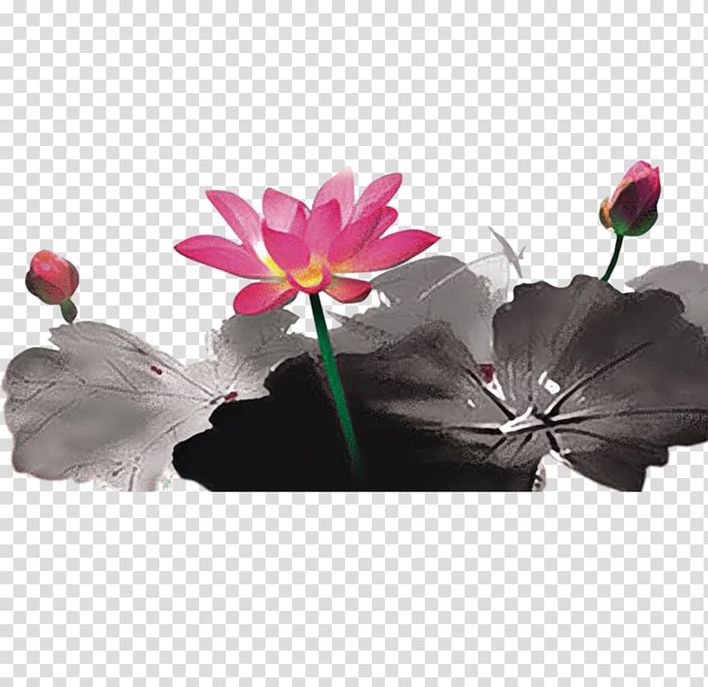 Ink wash painting Chinese painting Shan shui, Lotus material transparent background PNG clipart