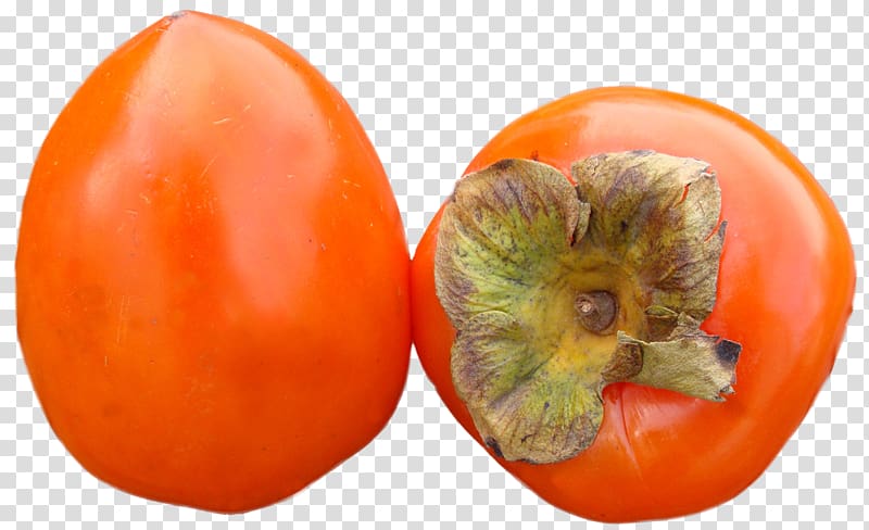 Persimmon transparent background PNG clipart