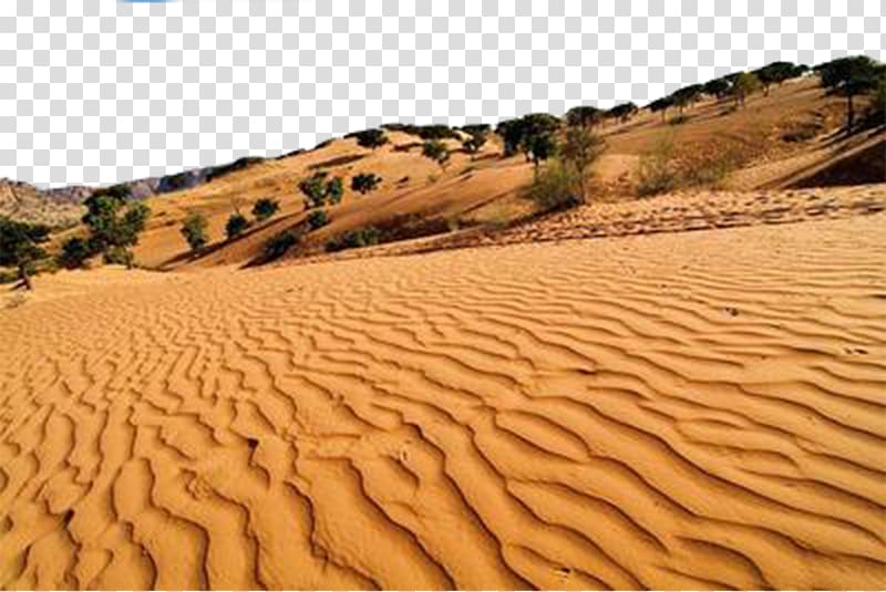 Erg Desert Sand Euclidean , Desert transparent background PNG clipart