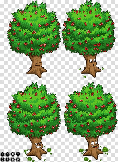 Pine family Minigame Loading screen Social-network game Flowerpot, Mountain Ash transparent background PNG clipart