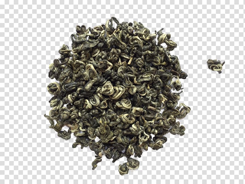 Nilgiri tea Oolong Tea plant, genmaicha transparent background PNG clipart