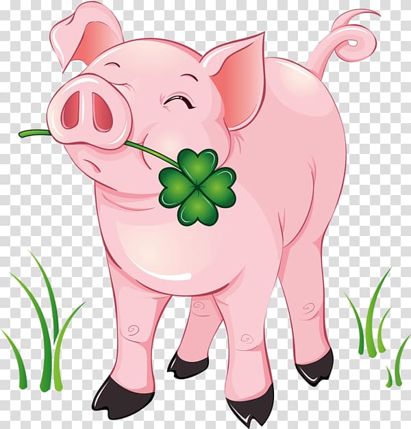 Domestic pig graphics, paddy animal feed transparent background PNG clipart