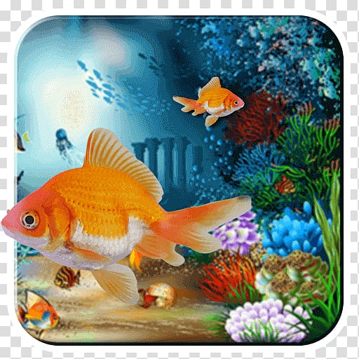 Desktop Sea Underwater Nature , Aquarium fish transparent background PNG clipart