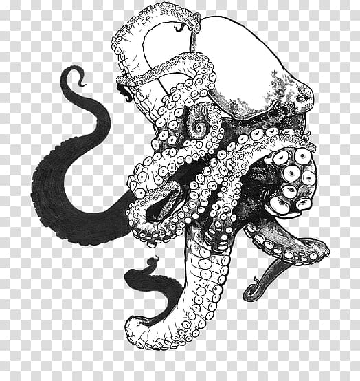 Octopus Drawing , octopus Drawing transparent background PNG clipart