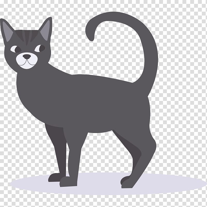 Whiskers Korat Kitten Black cat Domestic short-haired cat, kitten transparent background PNG clipart