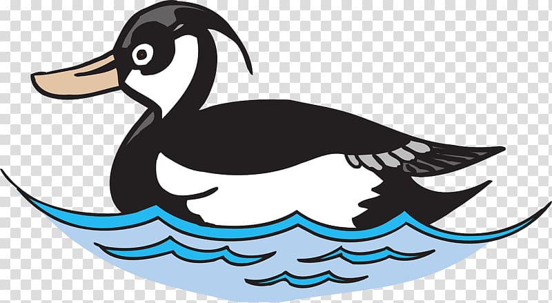 Duck , Black Duck transparent background PNG clipart