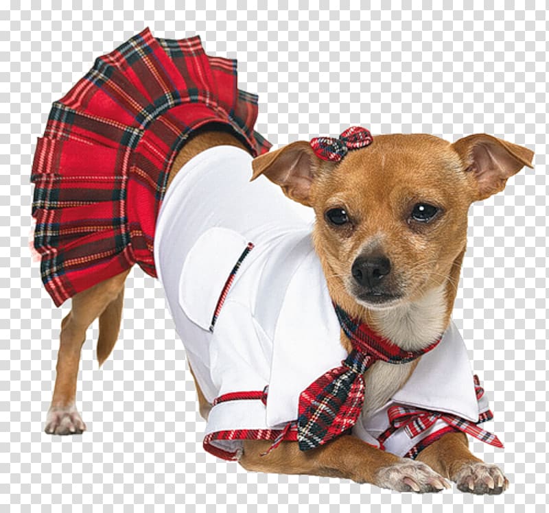 Dog Puppy Halloween costume Woman, Puppy wearing clothes transparent background PNG clipart