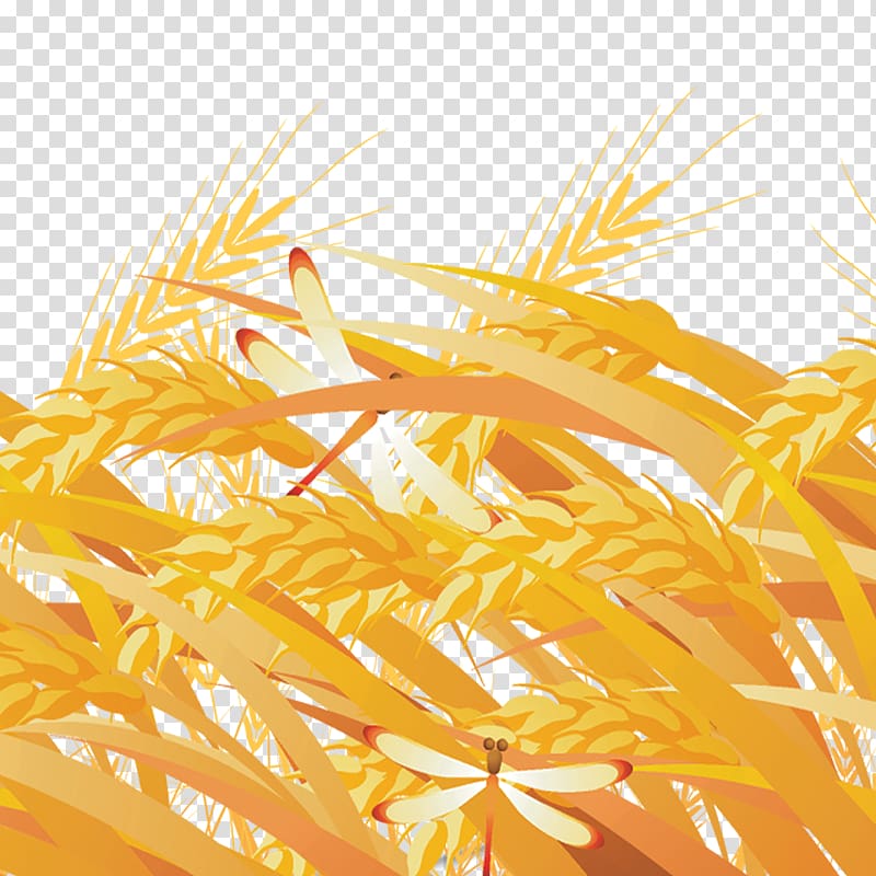 Yellow Grasses Fundal, Rice transparent background PNG clipart