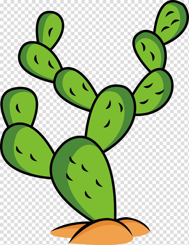 Cactaceae Cartoon , Hand-painted cactus transparent background PNG clipart