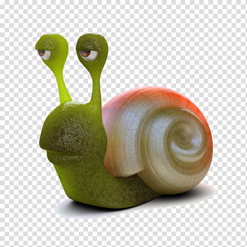 Snail Drawing Slug Illustration, Green snail transparent background PNG clipart