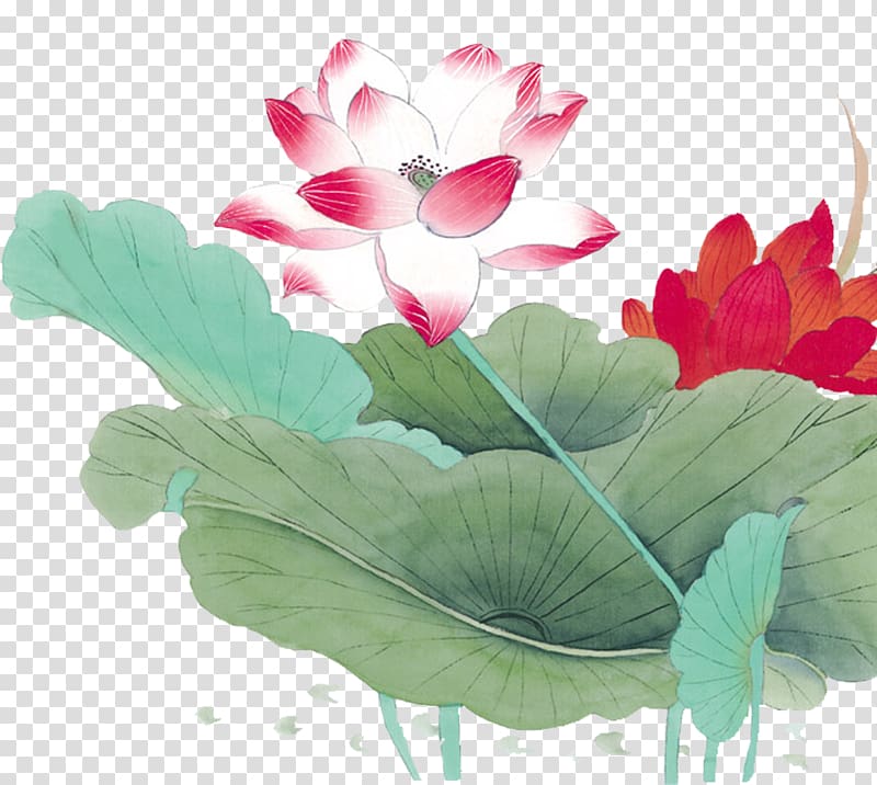 Nelumbo nucifera Flower Bird painting, Chinese style painting lotus lotus transparent background PNG clipart