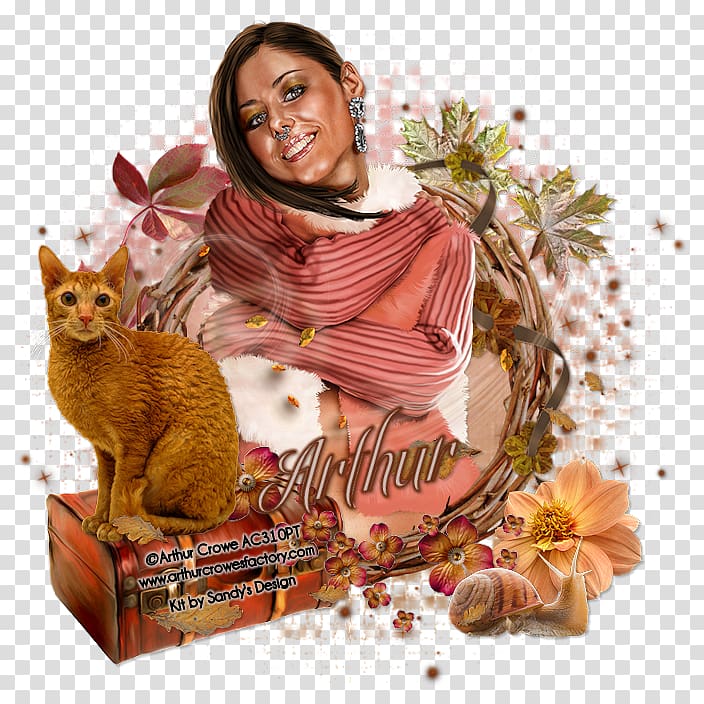 Kitten Whiskers, autumn discount transparent background PNG clipart