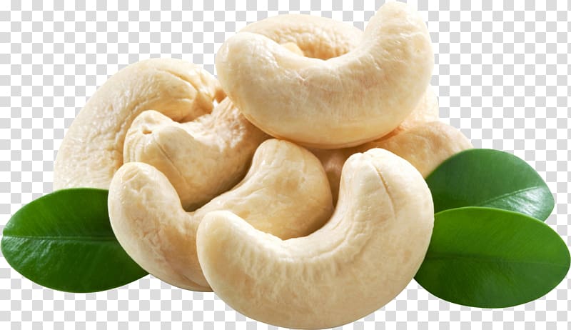 Cashew transparent background PNG clipart