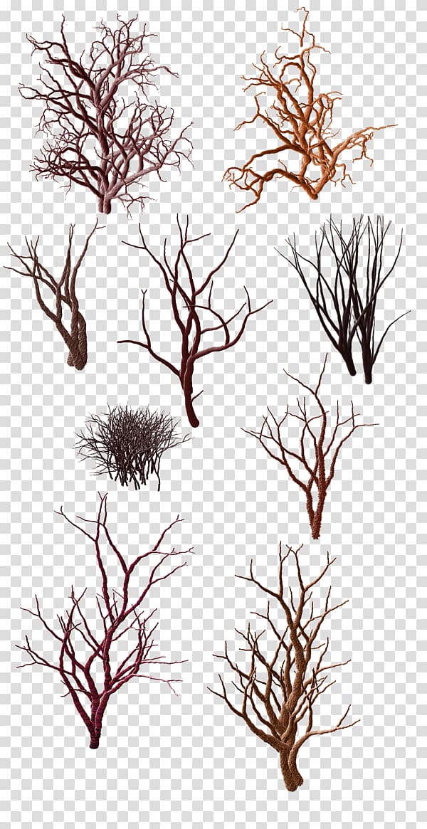 Tree Shrub Trunk Snag, Dead wood pattern transparent background PNG clipart