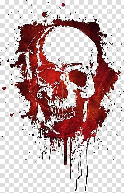 skull transparent background PNG clipart