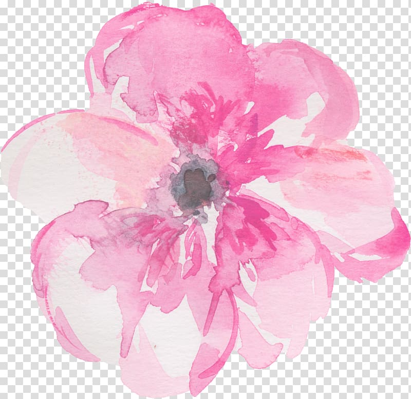 Watercolour Flowers Watercolor painting , Pink hand-painted flowers, close-up of pink poppy flower transparent background PNG clipart