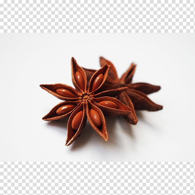 Masala chai Star anise Spice Absinthe, others transparent background PNG clipart